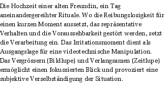 Die Hochzeit einer alten Freundin, ein Tag aneinandergereihter Rituale. Wo die Reibungslosigkeit fr einen kurzen Moment aussetzt, das reprsentative Verhalten und die Voraussehbarkeit gestrt werden, setzt die Verarbeitung ein. Das Irritationsmoment dient als Ausgangslage fr eine videotechnische Manipulation. 
Das Vergrssern (Bildlupe) und Verlangsamen (Zeitlupe) ermglicht einen fokussierten Blick und provoziert eine subjektive Verselbstndigung der Situation.