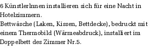 6 Knstlerlnnen installieren sich fr eine Nacht in Hotelzimmern. 
Bettwsche (Laken, Kissen, Bettdecke), bedruckt mit einem Thermobild (Wrmeabdruck), installiert im Doppelbett des Zimmer Nr.5.