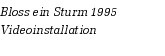 Bloss ein Sturm 1995
Videoinstallation